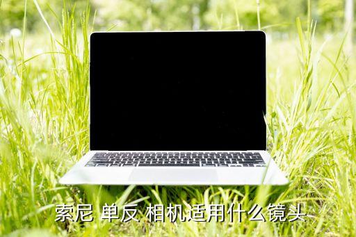 索尼單反相機(jī)官網(wǎng)中國官方網(wǎng)站,索尼單反相機(jī)有何不同?...